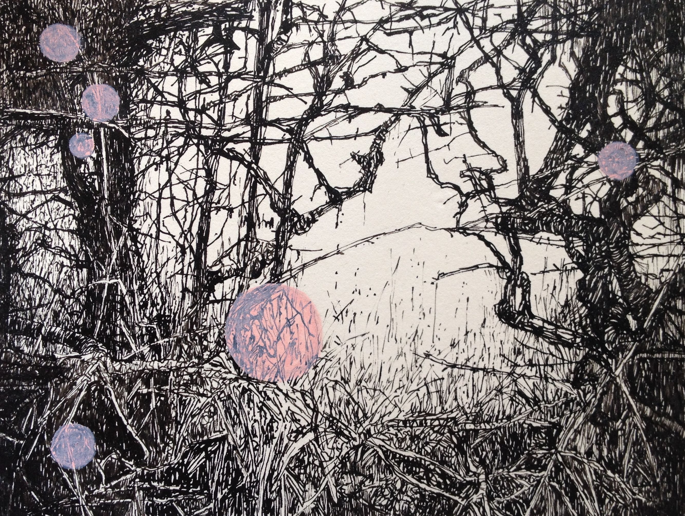 2667x2008 international arts culture magazine image clare - Hedge Drawing