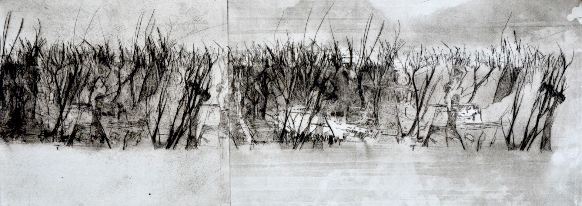 Hedge Drawing at Explore collection of Hedge Drawing