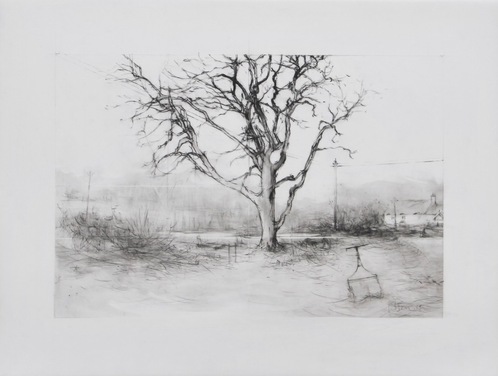 1020x770 Directory Wordpresswp - Hedge Drawing