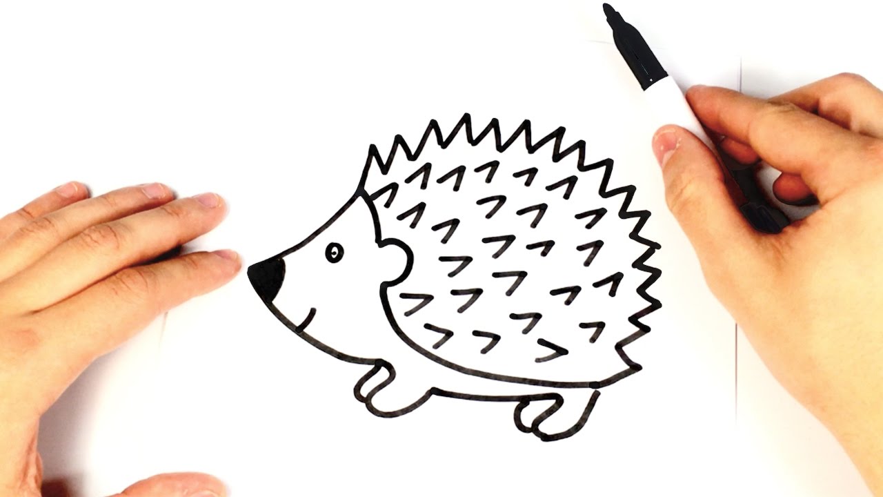 1280x720 how to draw a hedgehog for kids hedgehog drawing lesson - Hedgehog Cartoon Drawing