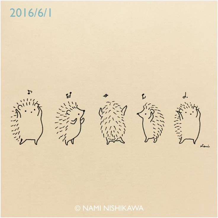 736x736 Image Result For Easy To Draw Cartoon Hedgehog Doodles Easy - Hedgehog Cartoon Drawing