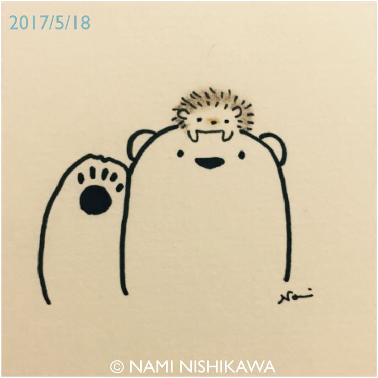 736x736 fluff hedgehog drawing, drawings, hedgehog - Hedgehog Cartoon Drawing