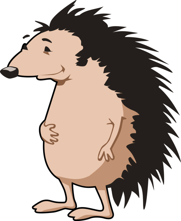 614x750 cartoon european hedgehog drawing echidna zazzle cc0 - Hedgehog Cartoon Drawing