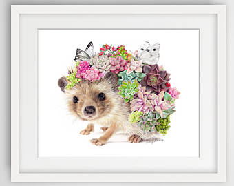 340x270 Hedgehog Drawing Etsy - Hedgehog Drawing