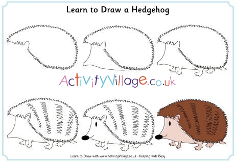 460x318 Learn To Draw A Hedgehog - Hedgehog Drawing