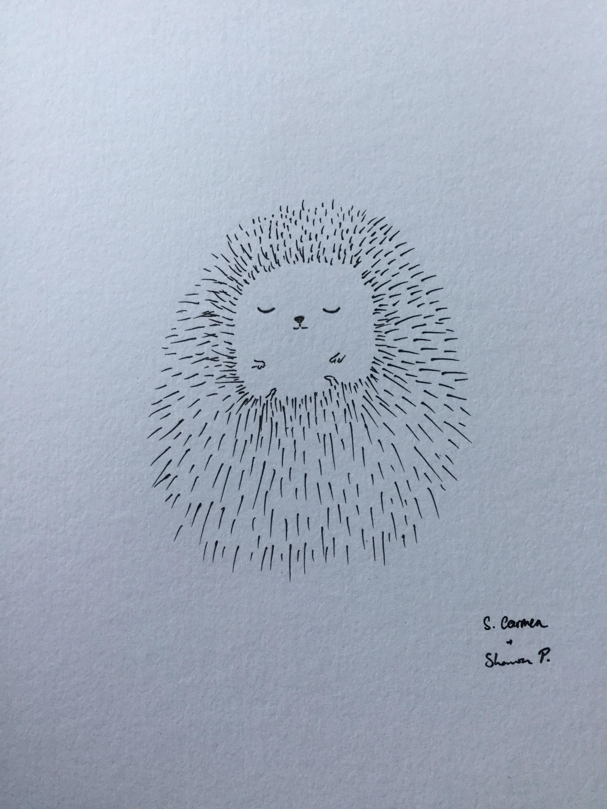 2448x3264 What Do You Think About My Hedgehog Drawing Aww - Hedgehog Drawing
