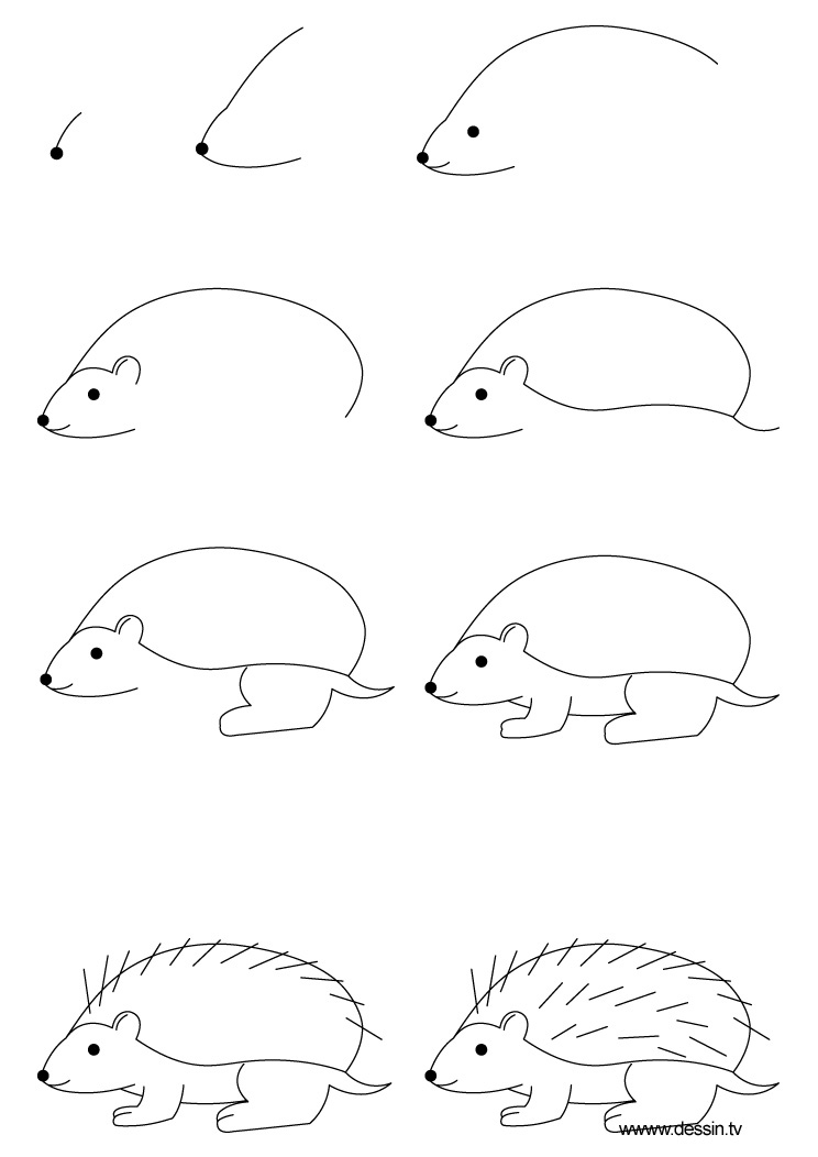 744x1052 Drawing Hedgehog - Hedgehog Drawing