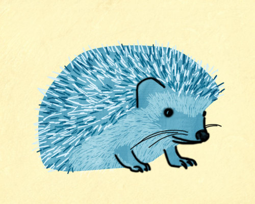 500x400 Illustration Cute Kawaii Hedgehog Hedgie Artists On Tumblr - Hedgehog Drawing Tumblr