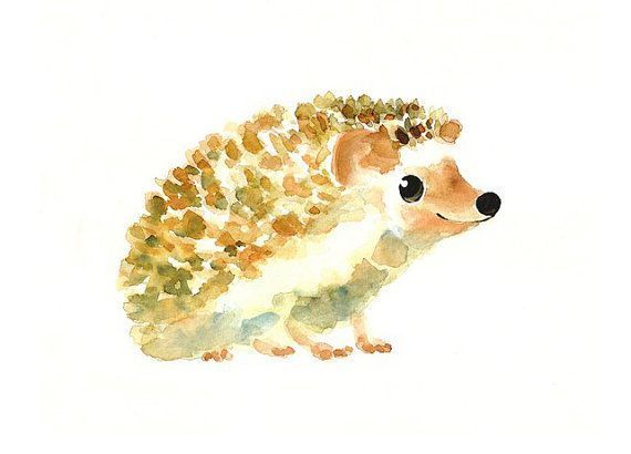 570x410 Image Result For Watercolour Painting Tumblr Animals Poster Art - Hedgehog Drawing Tumblr