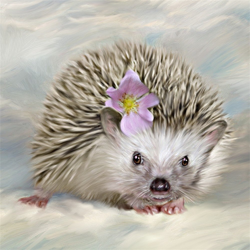 1000x1000 Baby Hedgehog Drawing Tumblr Pictures And Ideas On Meta Networks - Hedgehog Drawing Tumblr