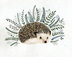 236x185 best hedgehog images cute hedgehog, hedgehogs, hedgehog drawing - Hedgehog Drawing Tumblr