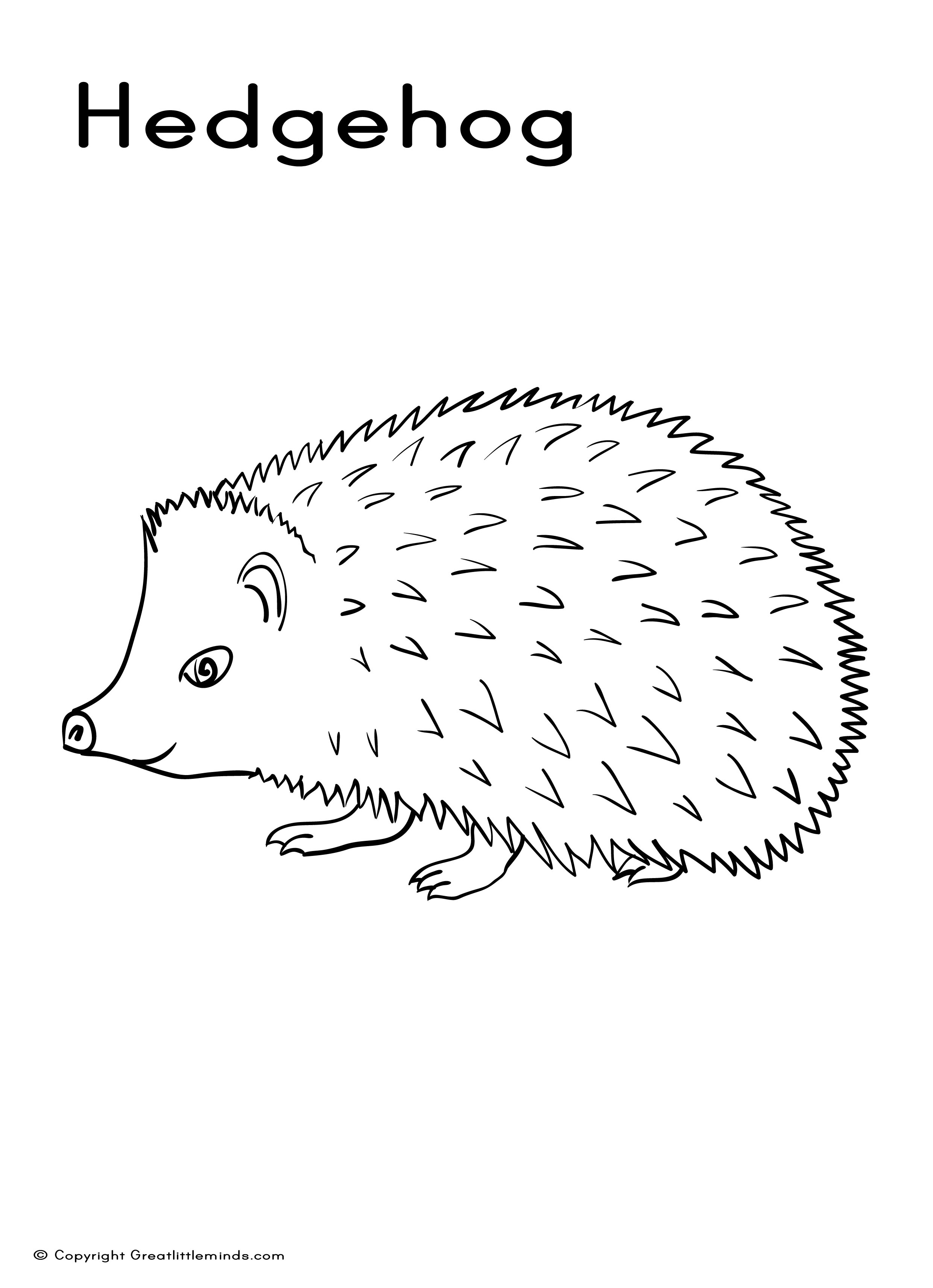 2480x3425 Hedgehog Coloring Picture - Hedgehog Line Drawing