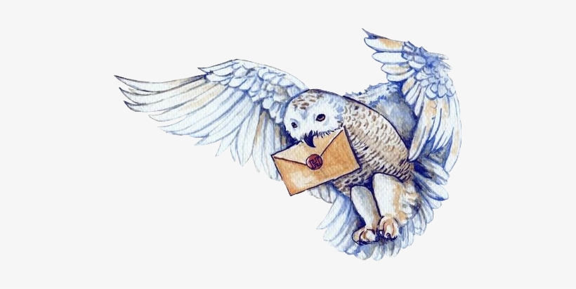 820x411 hedwig drawing - Hedwig Drawing