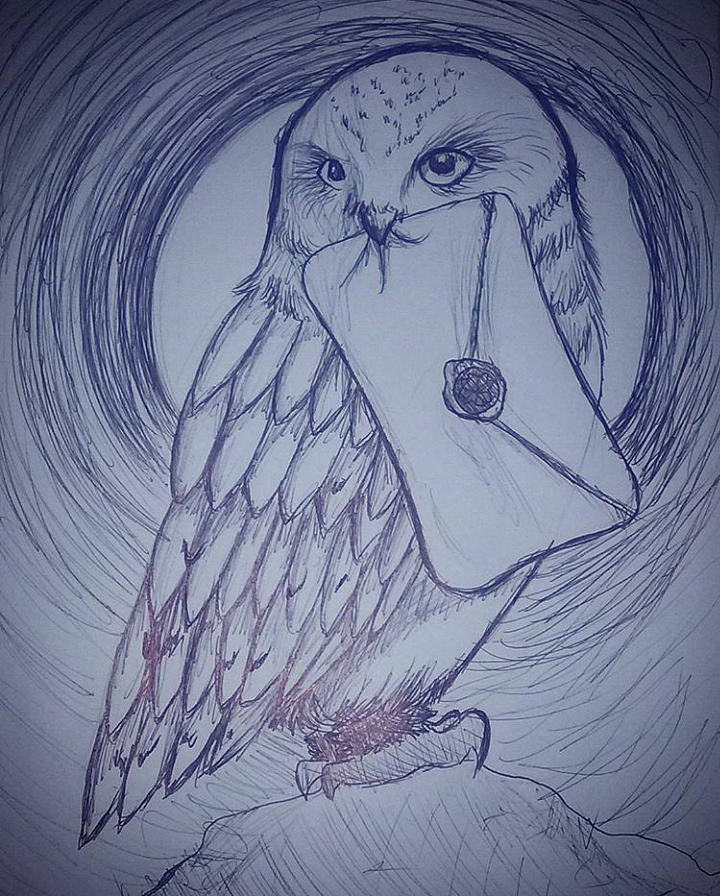 720x896 hedwig drawing - Hedwig Drawing
