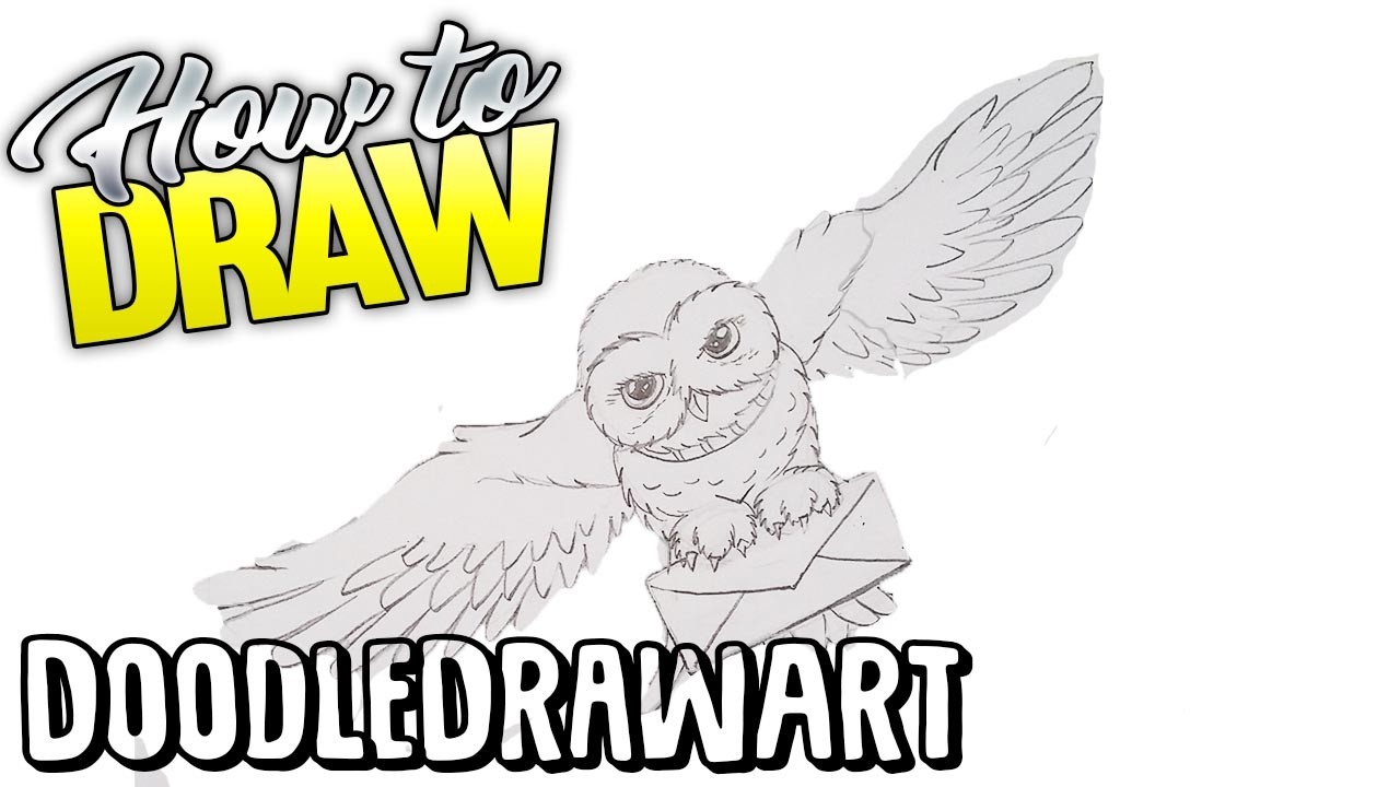 1280x720 how to draw hedwig step - Hedwig Drawing