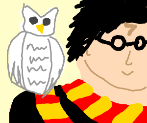 300x250 harry potter with hedwig drawing - Hedwig Drawing