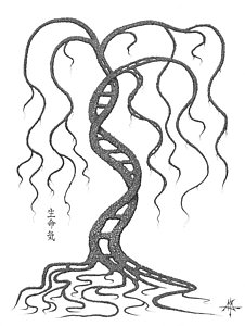 226x300 Helix Drawings Fine Art America - Helix Drawing