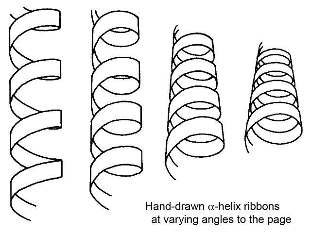 640x480 Thursday Sketchbook Roosevelt Drawing - Helix Drawing