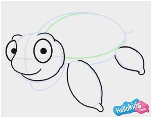 300x233 Pleasant Images Of Sea Turtle Drawing Tutorial Diy Tutorial - Hello Kids Drawing