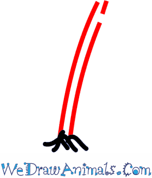 300x350 How To Draw A Hemlock Tree - Hemlock Tree Drawing