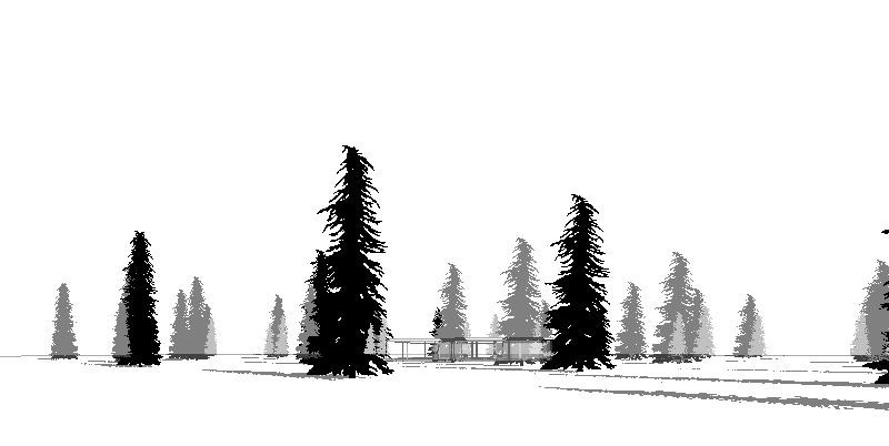 800x402 Mountain Hemlock Tree For Revit - Hemlock Tree Drawing