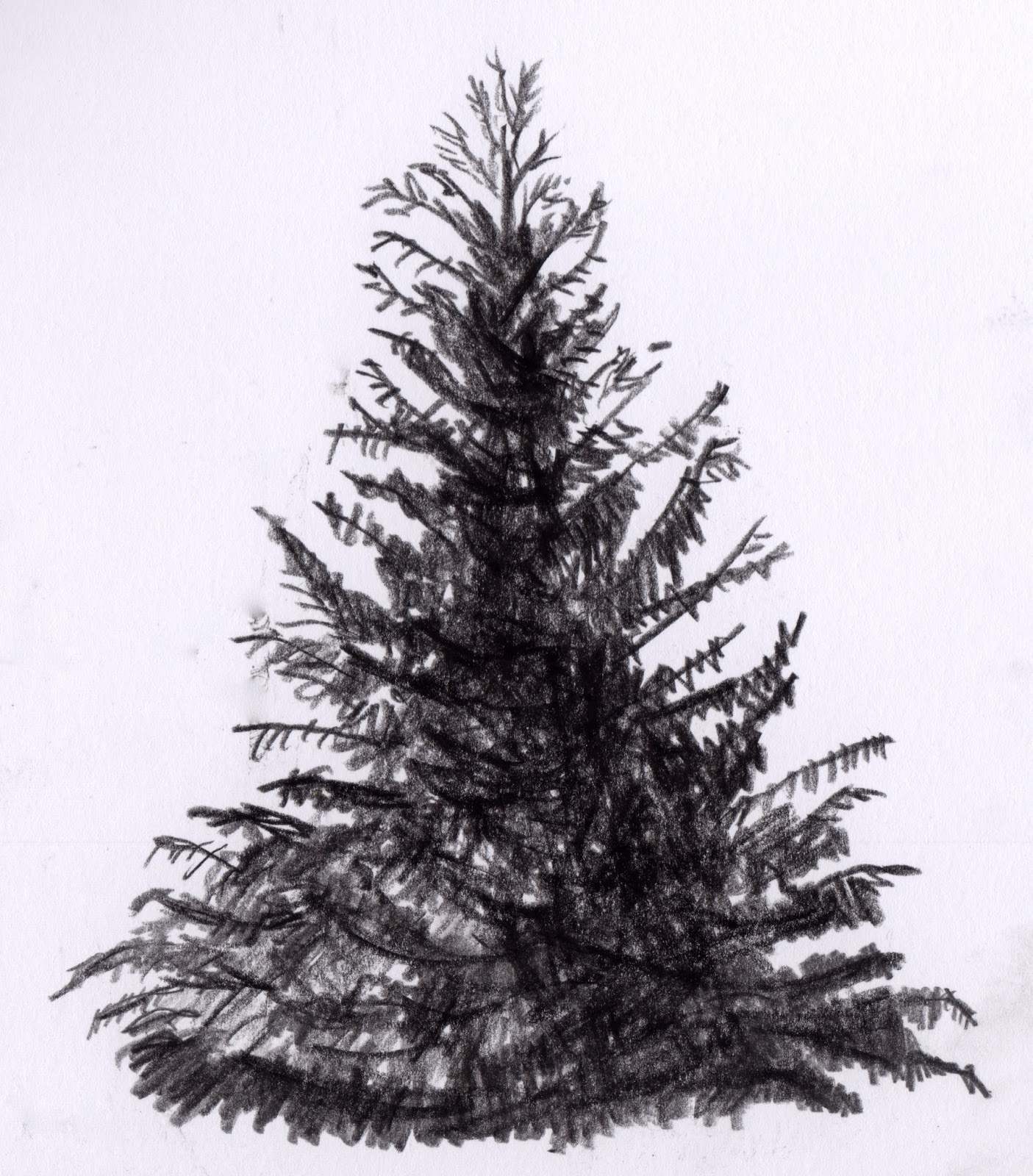 1405x1600 scott's creativity for sanity hemlock tree sketch - Hemlock Tree Drawing