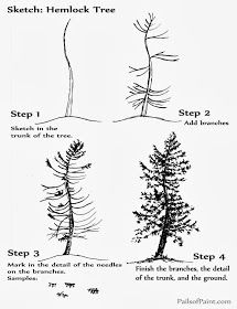 215x280 Art Lesson Sketch - Hemlock Tree Drawing