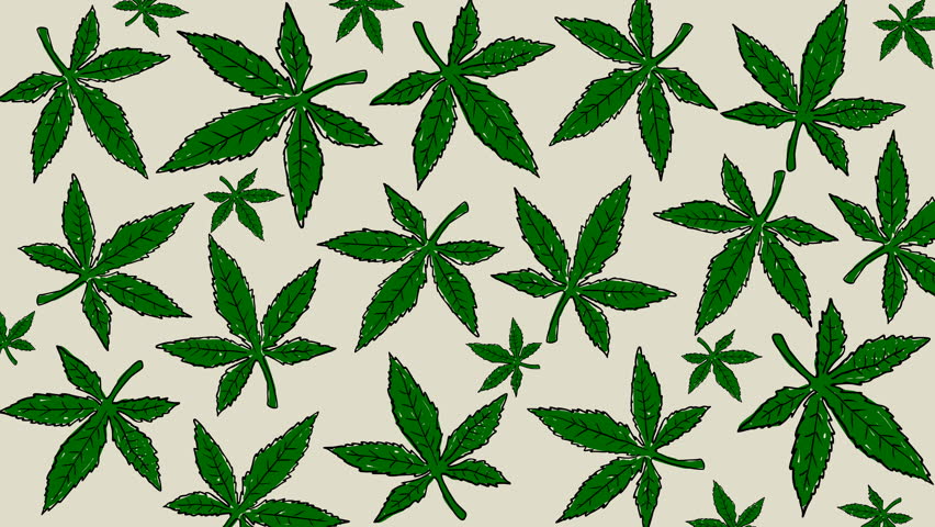 852x480 hemp drawing stock video footage - Hemp Drawing