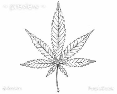 375x300 huge collection of 'hemp drawing' download more than images - Hemp Drawing
