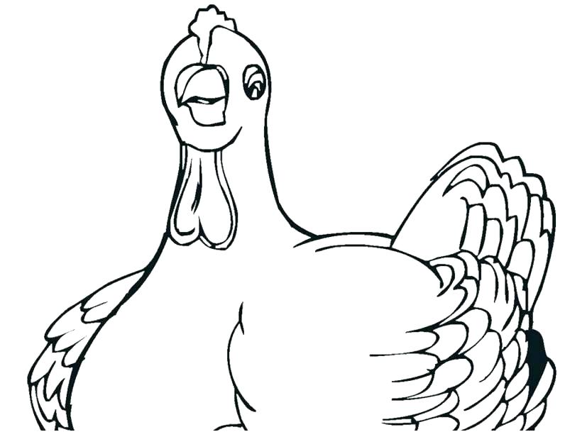 827x609 hen and chick farm animal coloring pages free to print - Hen And Chicks Drawing