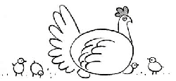250x116 How To Draw Chickens Drawing Tutorials Drawing How To Draw - Hen And Chicks Drawing