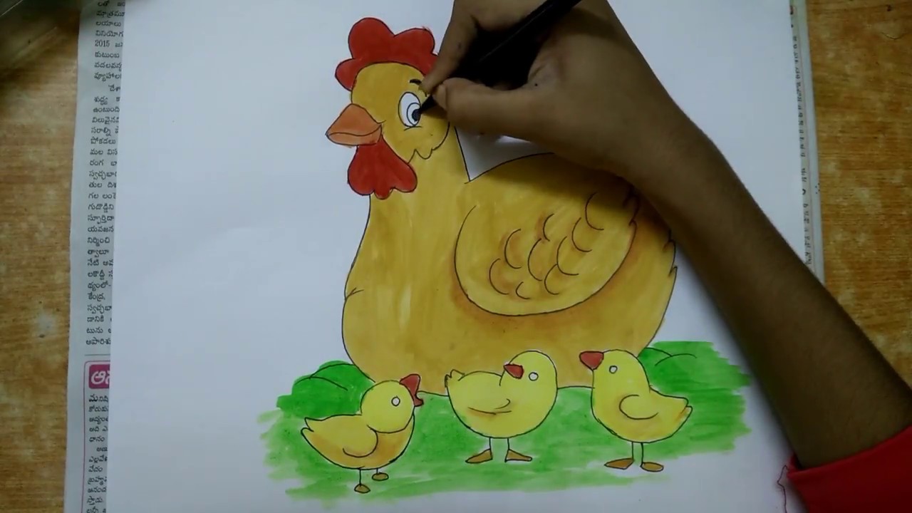 1280x720 how to easy coloring hen and chicks for kids - Hen And Chicks Drawing