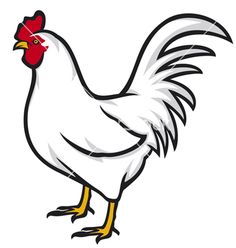 236x248 how to draw chickens hens with easy step - Hen Drawing