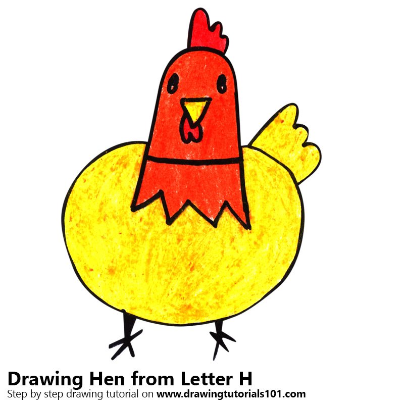 800x800 learn how to draw a hen from letter h - Hen Drawing