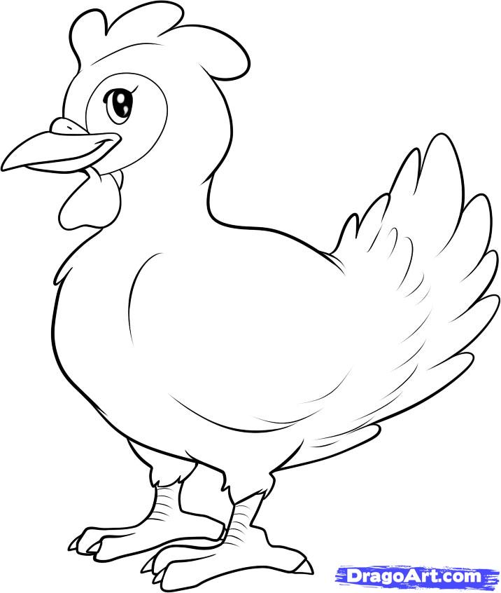 716x846 step how to draw a hen - Hen Drawing