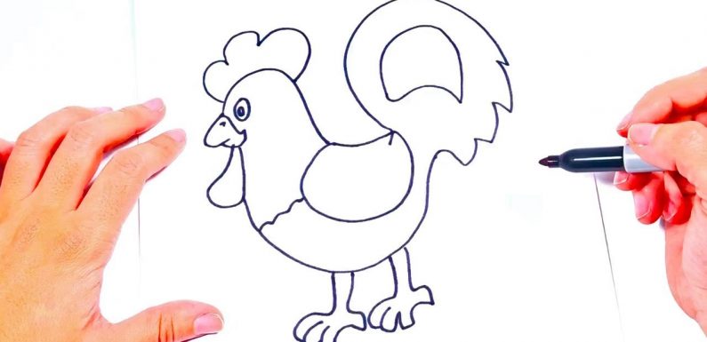 795x385 Hen Drawing Art Drawing Skill - Hen Drawing For Kid