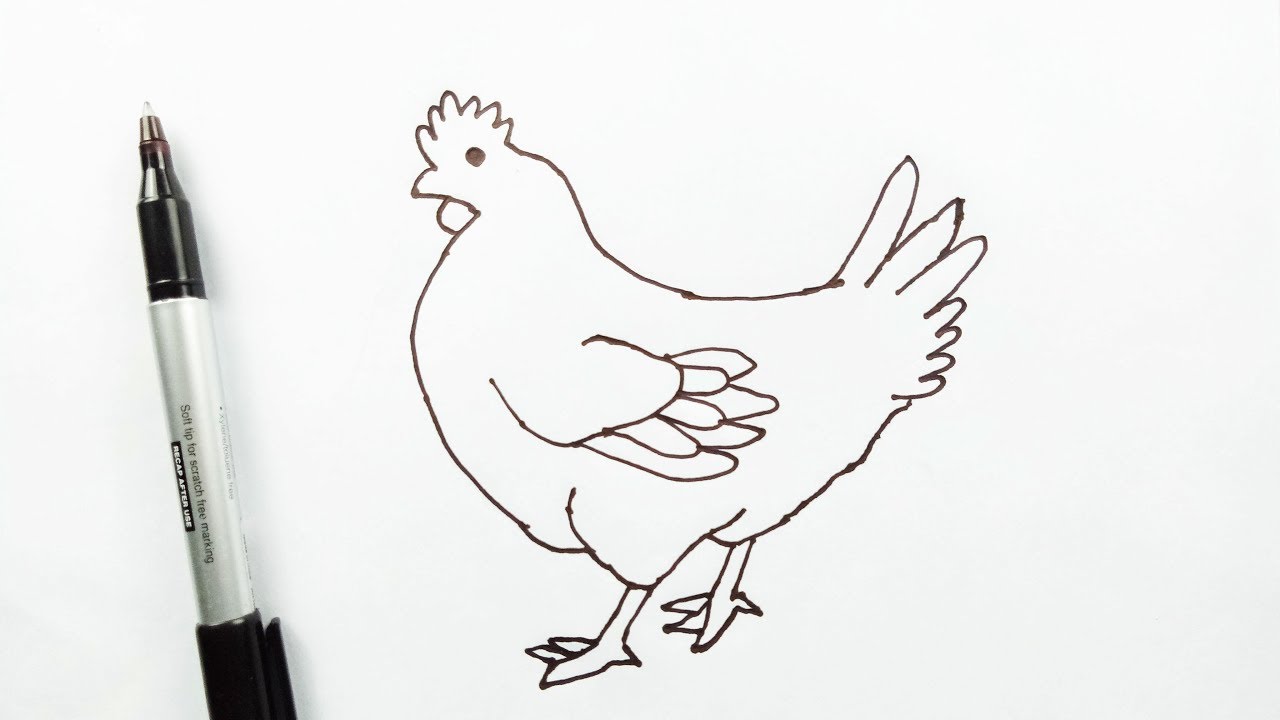 1280x720 chicken drawing hen for free download - Hen Drawing For Kid