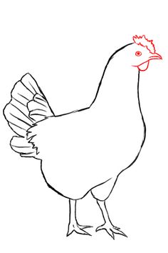 236x354 How To Draw Chickens Hens With Easy Step - Hen Drawing For Kid