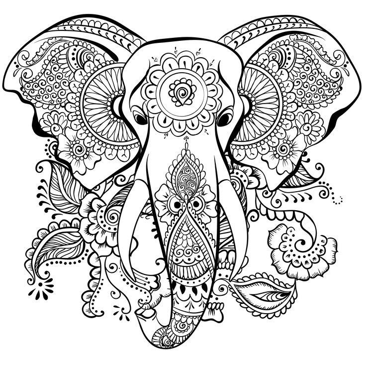 736x737 Henna Elephant Coloring Pages - Henna Elephant Drawing