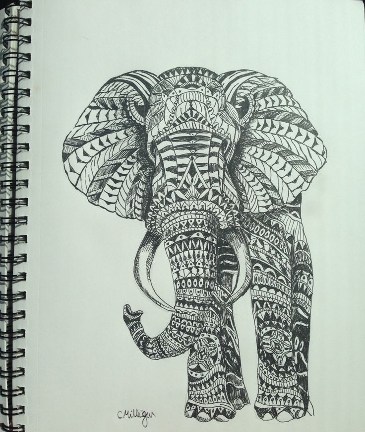 736x870 How To Draw A Henna Elephant Step - Henna Elephant Drawing