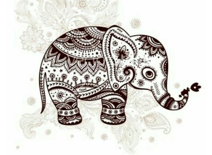 720x527 Huge Collection Of 'henna Elephant Drawing' Download More Than - Henna Elephant Drawing