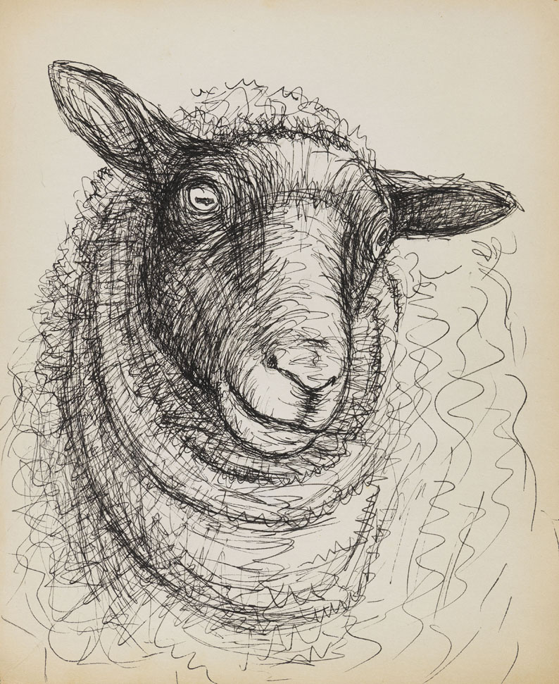 794x971 Henry Moore Drawings Of Sheep Seattle Artist League - Henry Moore Drawings