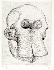 225x290 Henry Moore Elephant Skull Block Museum Of Art - Henry Moore Drawings
