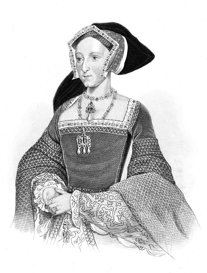 684x900 Jane Seymour Wife Of Henry Viii Drawing - Henry Viii Drawing