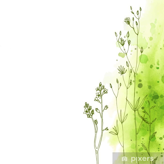 700x700 Herbs And Flowers Painted Color Line Space For Text Vector - Herbs Drawing