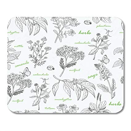 425x425 Nakamela Mouse Pads Drawing Eucalyptus With Herbs - Herbs Drawing