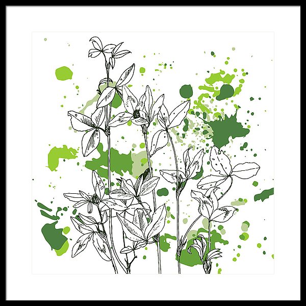 600x600 Background With Drawing Herbs And Flowers Framed Print - Herbs Drawing