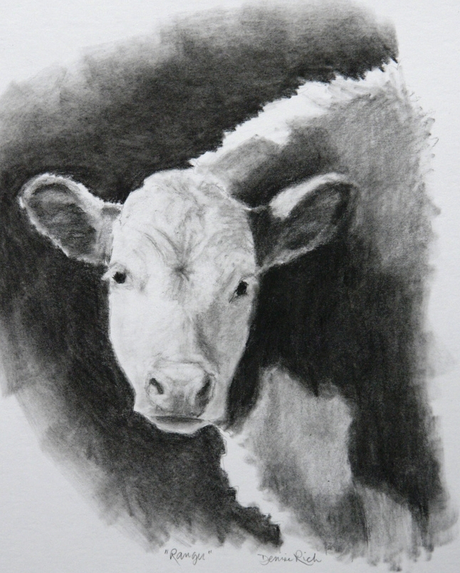 646x804 Denise Rich - Hereford Drawing