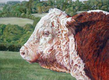 375x276 Hereford Bull Drawing - Hereford Drawing