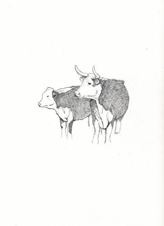570x786 Hereford Cow And Calf Original Pen And Ink - Hereford Drawing
